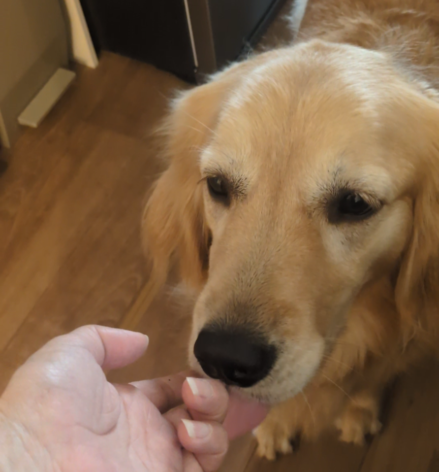 【ヒューマングレード】愛犬と一緒に飲める無添加出汁ドリップ(3個セット)