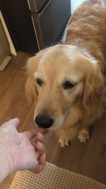 【ヒューマングレード】愛犬と一緒に飲める無添加出汁ドリップ（３個セット）